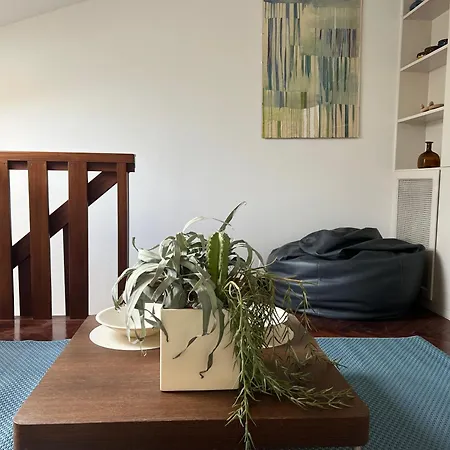 Attico Vista Mare Con Parcheggio Privato * ヴィアレッジョ